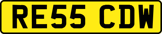 RE55CDW