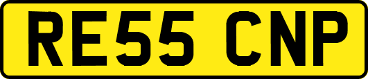 RE55CNP