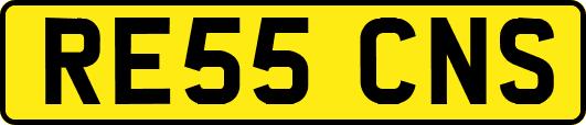 RE55CNS