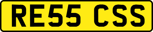 RE55CSS