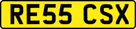 RE55CSX
