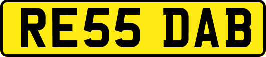 RE55DAB