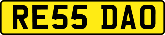 RE55DAO