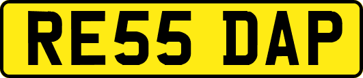 RE55DAP