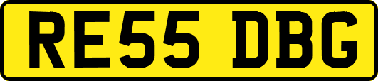 RE55DBG