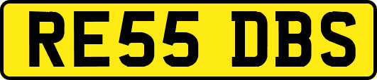 RE55DBS