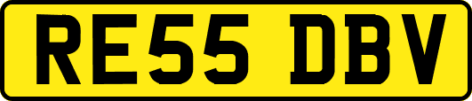 RE55DBV