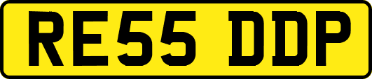 RE55DDP