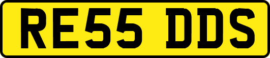 RE55DDS