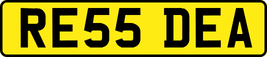 RE55DEA