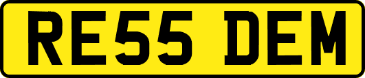 RE55DEM
