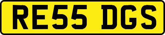 RE55DGS