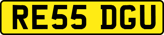 RE55DGU