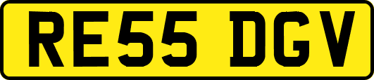 RE55DGV