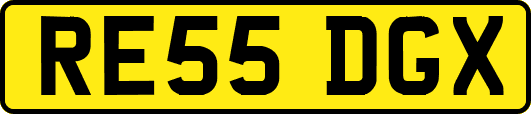 RE55DGX