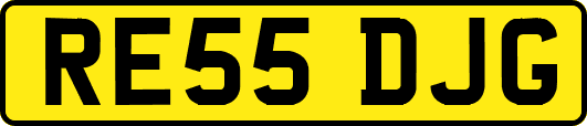 RE55DJG