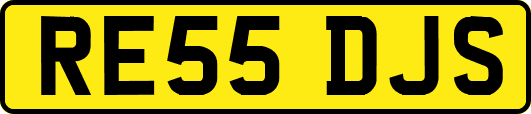 RE55DJS