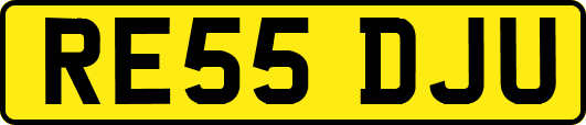 RE55DJU