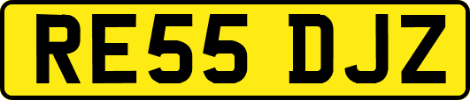 RE55DJZ