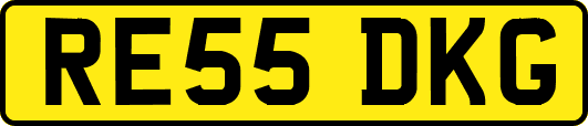 RE55DKG