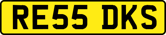 RE55DKS