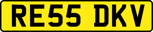 RE55DKV