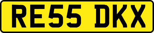 RE55DKX