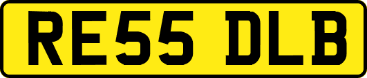 RE55DLB