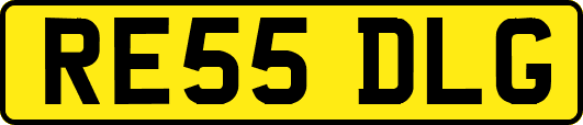 RE55DLG