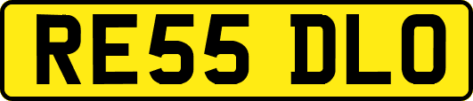 RE55DLO