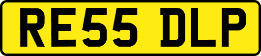 RE55DLP
