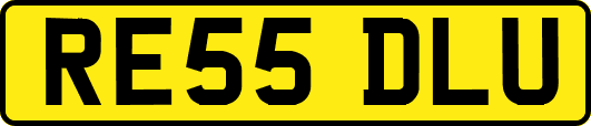 RE55DLU