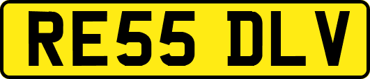 RE55DLV