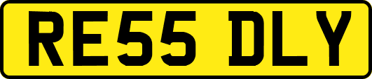 RE55DLY