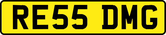 RE55DMG
