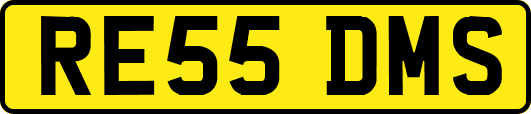 RE55DMS