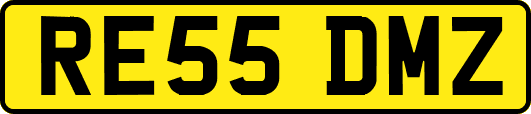 RE55DMZ