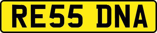 RE55DNA