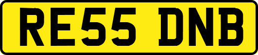 RE55DNB