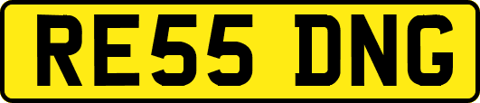 RE55DNG