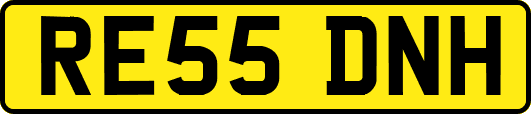 RE55DNH