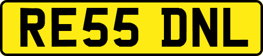 RE55DNL