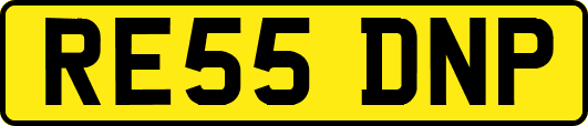 RE55DNP
