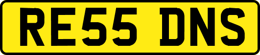 RE55DNS