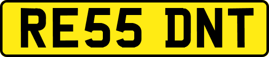 RE55DNT