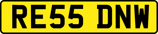 RE55DNW
