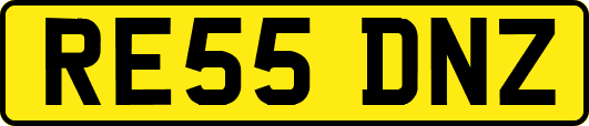 RE55DNZ