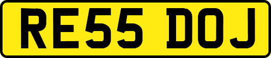 RE55DOJ