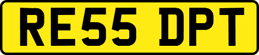 RE55DPT