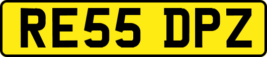 RE55DPZ